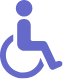 Handicapp icon